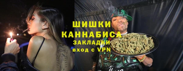 мдпв Бронницы