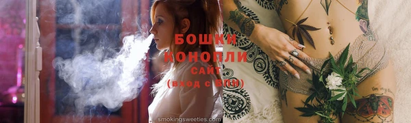 мдпв Бронницы