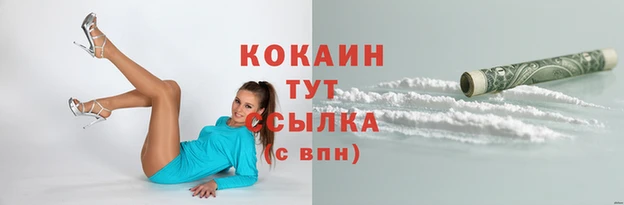 мдпв Бронницы