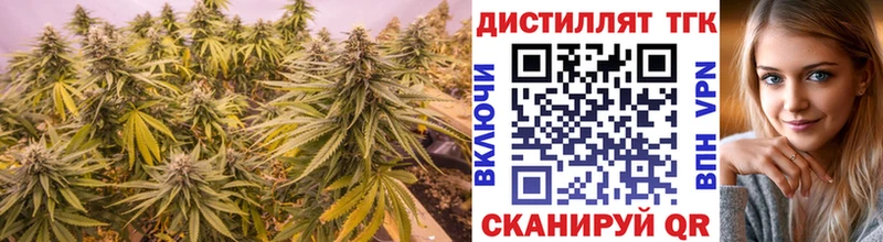 магазин    Сыктывкар  Дистиллят ТГК Wax 