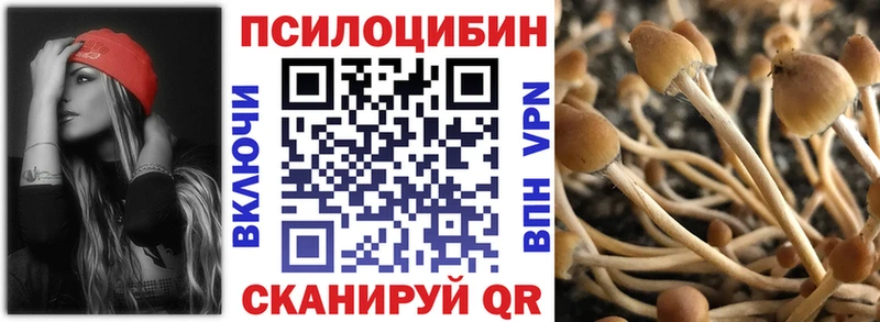 Галлюциногенные грибы Psilocybe  Сыктывкар 